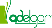 Adelgar, tu clínica de adelgazamiento en Madrid